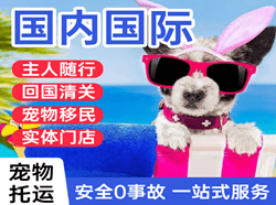 临沂启阳机场空运国际宠物托运 【国